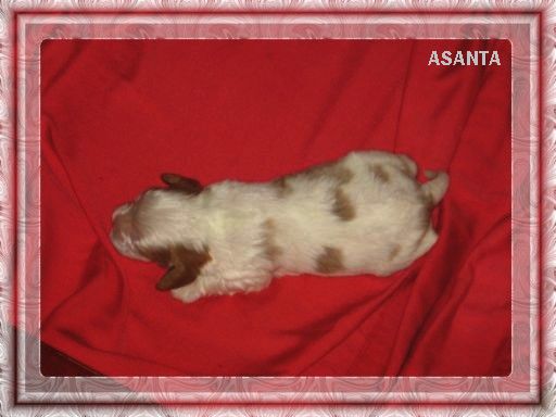 Rozmiar: 35190 bajt�w